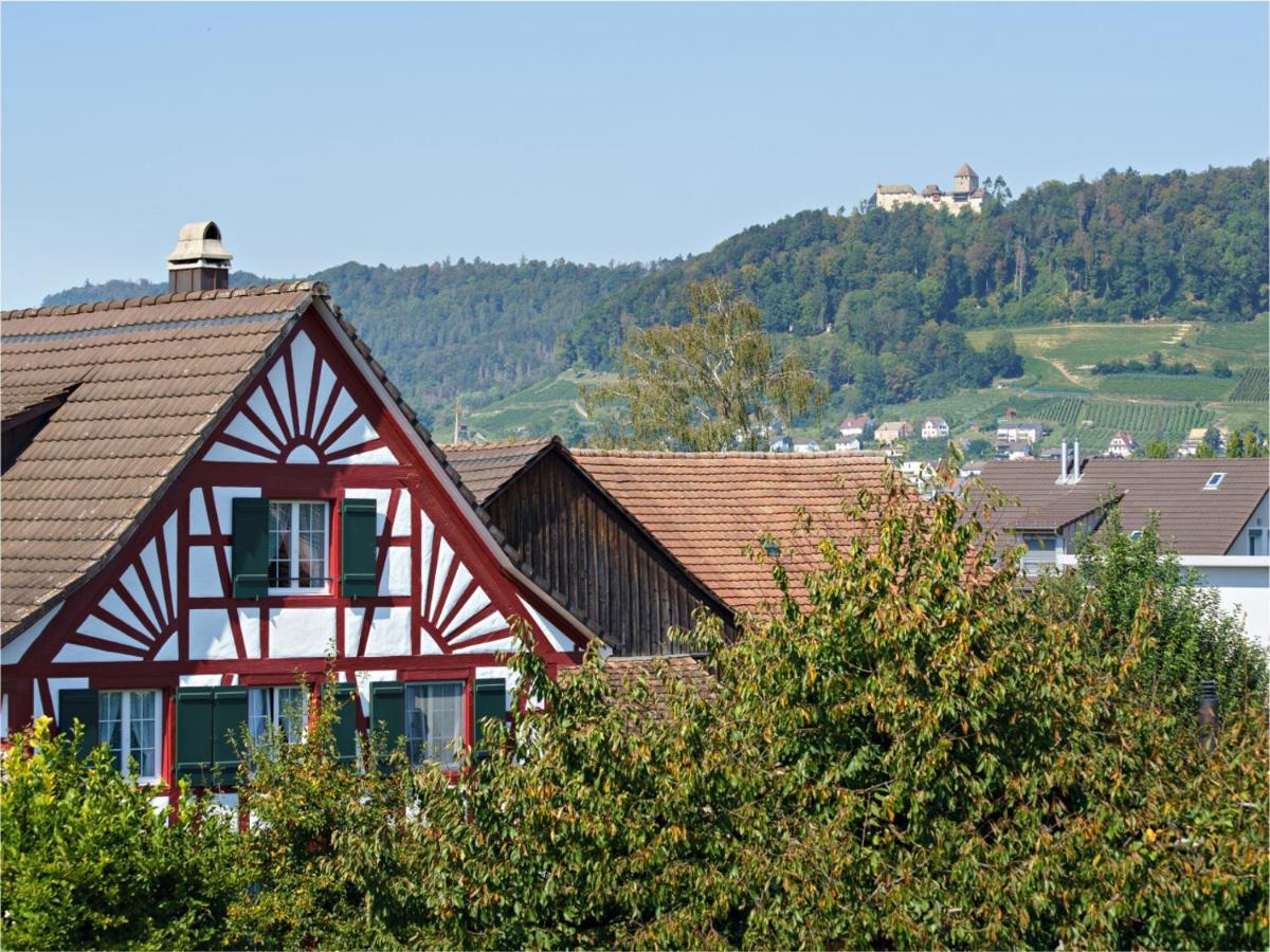 Exklusive 4.5 Zimmer Wohnung Fuer Familien Und Business Eschenz Zewnętrze zdjęcie